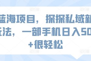 蓝海项目，探探私域新玩法，一部手机日入500+很轻松【揭秘】