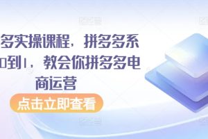 拼多多实操课程，拼多多系统从0到1，教会你拼多多电商运营