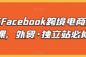 脸书Facebook跨境电商入门课，外贸·独立站必修