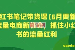 小红书笔记带货课【6月更新】流量电商新机会，抓住小红书的流量红利