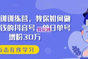 抖音实训训练营，教你如何做一个赚钱的抖音号，单日单号增粉30万