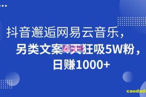 抖音邂逅网易云音乐，另类文案4天狂吸5W粉，日赚1000+【揭秘】