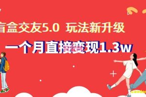 盲盒交友5.0，玩法全新升级，一个月直接变现1.3W，新手小白轻松上手【揭秘】