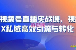 21天视频号直播实战课，视频号X私域高效引流与转化