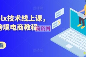 波兰olx技术线上课，kim跨境电商教程