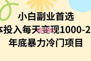 小白副业首选，0成本投入，每天变现1000-2000年底暴力冷门项目【揭秘】