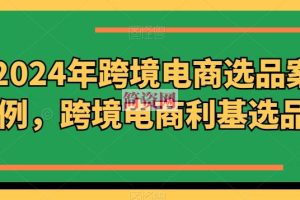 2024年跨境电商选品案例，跨境电商利基选品