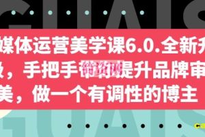 自媒体运营美学课6.0.全新升级，手把手带你提升品牌审美，做一个有调性的博主