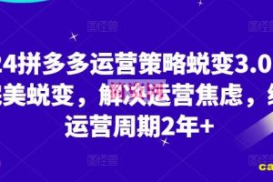 2024拼多多运营策略蜕变3.0，0-1完美蜕变，解决运营焦虑，缩短运营周期2年+