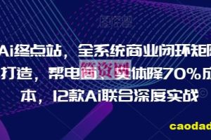 Ai终点站，全系统商业闭环矩阵打造，帮电商、实体降70%成本，12款Ai联合深度实战