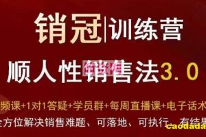 爆款！销冠训练营3.0之顺人性销售法，全方位解决销售难题、可落地、可执行、有结果