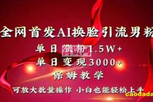 全网首发Ai换脸引流男粉，单日涨粉1.5w+，单日变现3000+，小白也能轻松上手拿结果【揭秘】