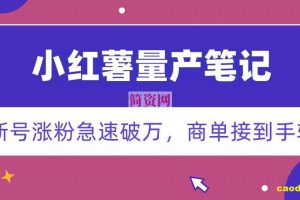 小红书量产笔记，一分种一条笔记，新号涨粉急速破万，新黑马赛道，商单接到手软【揭秘】