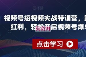 视频号短视频实战特训营，踩准风口红利，轻松开启视频号爆单之路