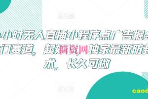 24小时无人直播小程序点广告掘金，冷门赛道，起好猛，独家最新防封技术，长久可做【揭秘】