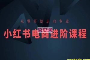 从零开始走向专业，小红书电商进阶课程