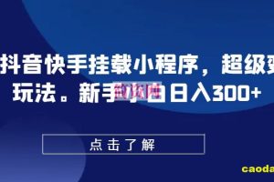 0粉抖音快手挂载小程序，超级变脸玩法，新手小白日入300+【揭秘】