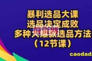 暴利选品大课：选品决定成败，教你多种大爆款选品方法(12节课)