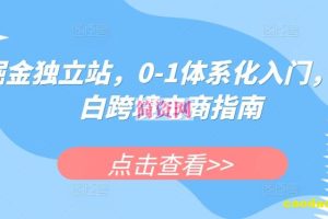 掘金独立站，0-1体系化入门，小白跨境电商指南