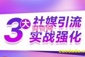 3大社媒引流实战强化，多渠道站外引流，高效精准获客，订单销售额翻倍增长