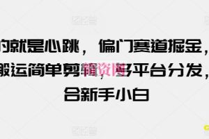 玩的就是心跳，偏门赛道掘金，视频搬运简单剪辑，多平台分发，适合新手小白【揭秘】