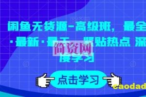 闲鱼无货源-高级班，最全·最新·最干，紧贴热点 深度学习