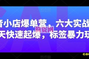 抖音小店爆单营，六大实战篇，7天快速起爆，标签暴力玩法