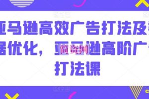 亚马逊高效广告打法及数据优化，亚马逊高阶广告打法课