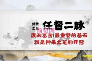 某付费文章《任督 二脉 泼天富贵|最重要的基石 就是神来之笔的开窍|万字》