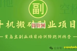 手机搬砖小副业项目训练营1.0，实测1小时收益50+，一部手机轻松日入100+