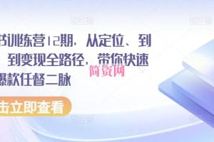 小红书训练营12期，从定位、到起号、到变现全路径，带你快速打通爆款任督二脉