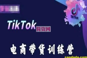 TikTok电商带货训练营，跟随时代潮流，跨境掘金