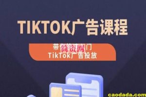 TikTok广告投放课程，从0-1实操课，带你快速入门TikTok广告投放