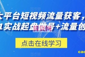 三大平台短视频流量获客，从0-1实战起盘做号+流量创收