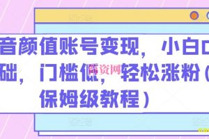 抖音颜值账号变现，小白0基础，门槛低，​轻松涨粉(保姆级教程)【揭秘】