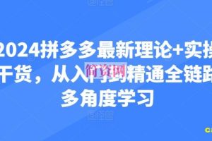 2024拼多多最新理论+实操干货，从入门到精通全链路多角度学习