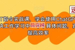 GPT指令实战课，学会使用ChatGPT，解决工作学习中一个个具体问题，真正提高效率