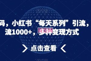 流量密码，小红书“每天系列”引流，日引流1000+，多种变现方式【揭秘】