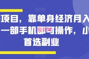 蓝海项目，靠单身经济月入过万，一部手机即可操作，小白首选副业【揭秘】