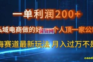 一单利润200私域电商做的好，一个人顶一家公司蓝海赛道最新玩法【揭秘】