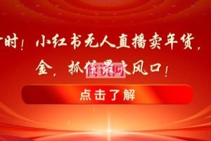 新春倒计时！小红书无人直播卖年货，无货源撸金，抓住最大风口【揭秘】