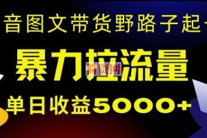 抖音图文带货暴力起号，单日收益5000+，野路子玩法，简单易上手，一部手机即可【揭秘】