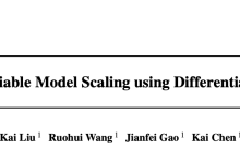 DMS：直接可微的网络搜索方法，最快仅需单卡10分钟 | ICML 2024-小狮博客