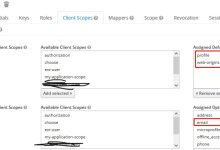 keycloak~关于授权码认证中的scope的实践-小狮博客