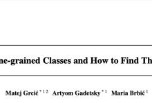 FALCON：打破界限，粗粒度标签的无监督细粒度类别推断，已开源| ICML'24-小狮博客