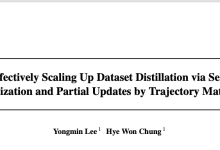 SelMatch：最新数据集蒸馏，仅用5%训练数据也是可以的 | ICML'24-小狮博客