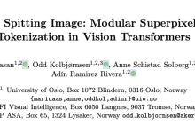 SPiT：超像素驱动的非规则ViT标记化，实现更真实的图像理解 | ECCV 2024-小狮博客
