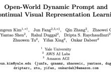 DPaRL：耶鲁+AWS出品，开放世界持续学习场景的新解法 | ECCV'24-小狮博客