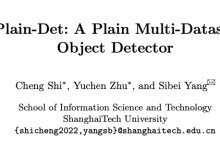 Plain-Det:同时支持多数据集训练的新目标检测 | ECCV'24-小狮博客