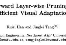 SLS：整层剪掉！基于降维特征聚类的PETL模型剪枝新方法 | ECCV'24-小狮博客